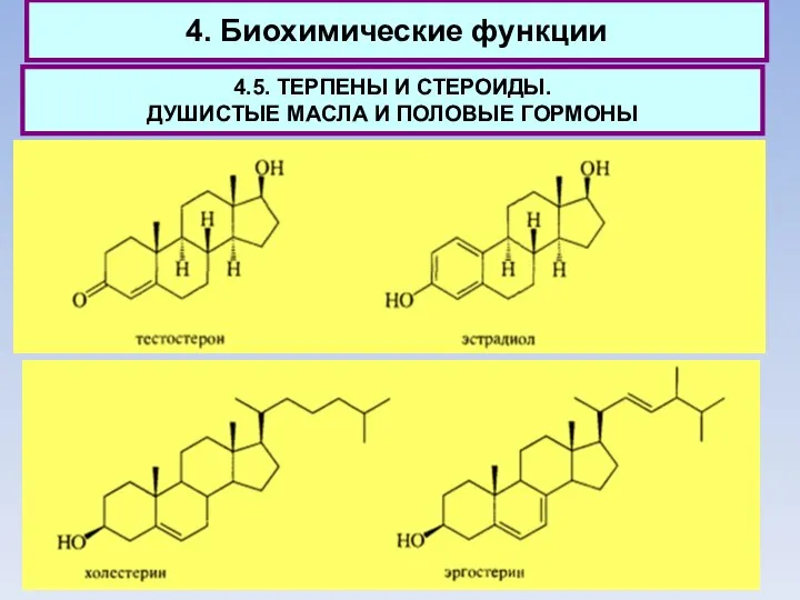 4. Биохимические функции 4.5. ТЕРПЕНЫ И СТЕРОИДЫ. ДУШИСТЫЕ МАСЛА И ПОЛОВЫЕ ГОРМОНЫ