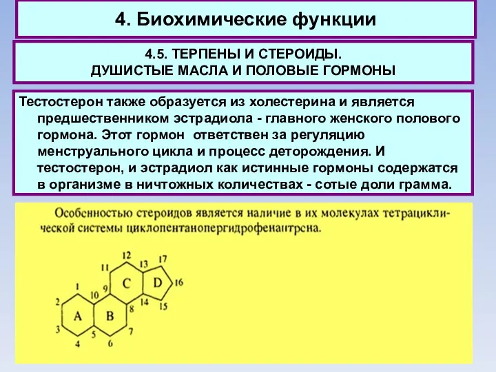 4. Биохимические функции 4.5. ТЕРПЕНЫ И СТЕРОИДЫ. ДУШИСТЫЕ МАСЛА И ПОЛОВЫЕ ГОРМОНЫ