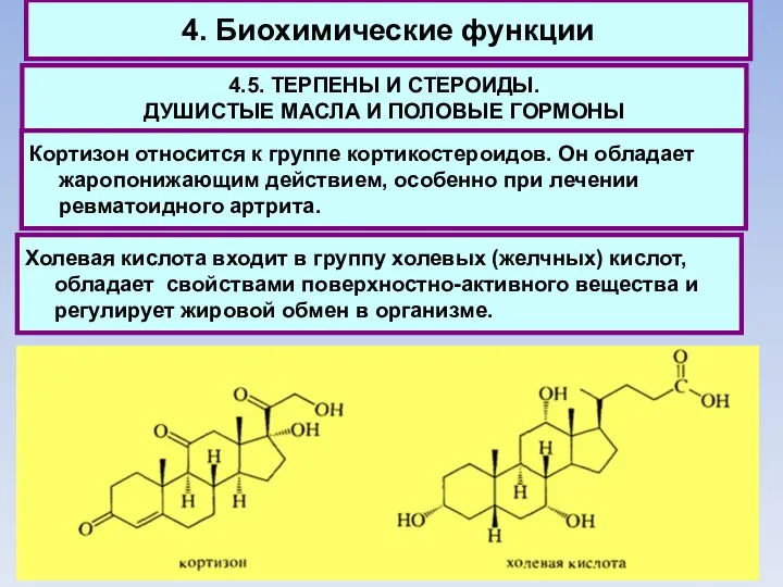 4. Биохимические функции 4.5. ТЕРПЕНЫ И СТЕРОИДЫ. ДУШИСТЫЕ МАСЛА И ПОЛОВЫЕ ГОРМОНЫ