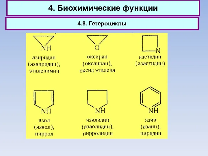 4. Биохимические функции 4.8. Гетероциклы