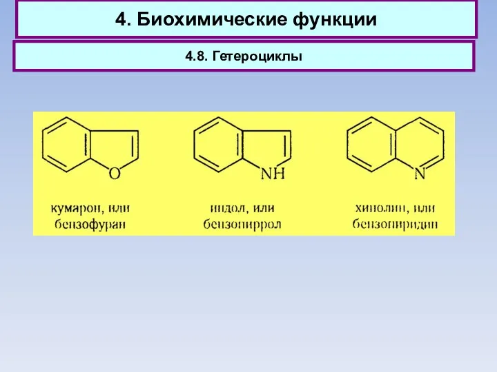 4. Биохимические функции 4.8. Гетероциклы