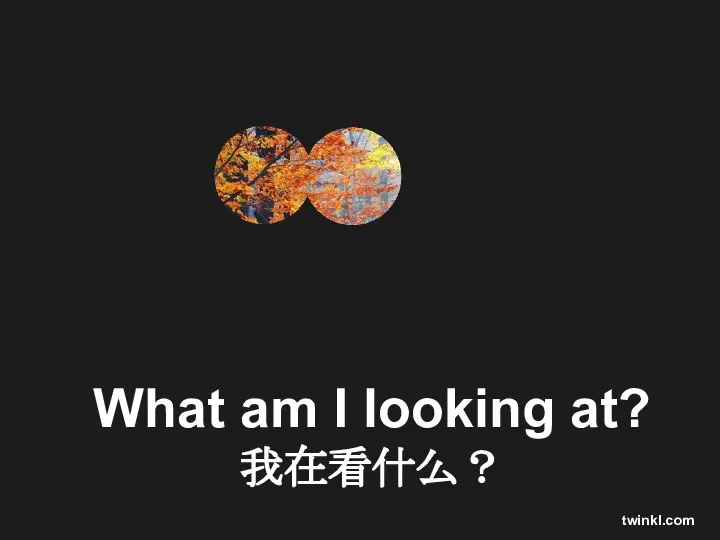 What am I looking at? 我在看什么？ twinkl.com