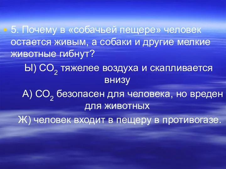 5. Почему в «собачьей пещере» человек остается живым, а собаки и другие