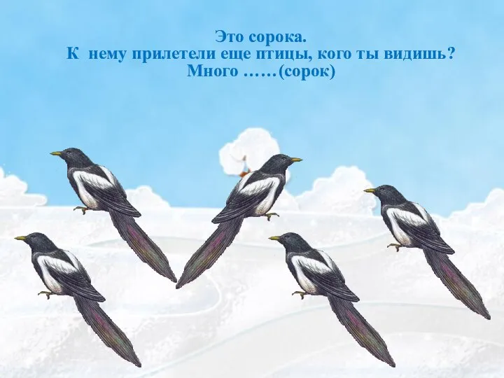 Это сорока. К нему прилетели еще птицы, кого ты видишь? Много ……(сорок)