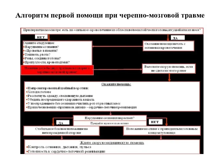 Алгоритм первой помощи при черепно-мозговой травме