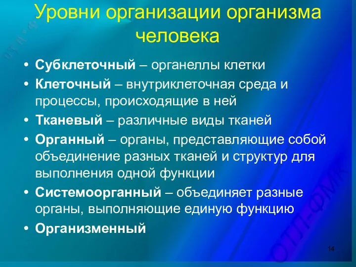 Уровни организации организма человека Субклеточный – органеллы клетки Клеточный – внутриклеточная среда