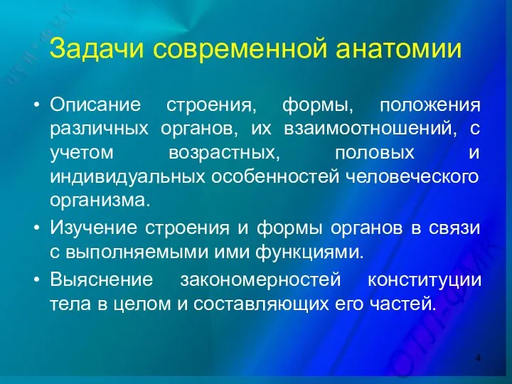 Задачи современной анатомии Описание строения, формы, положения различных органов, их взаимоотношений, с