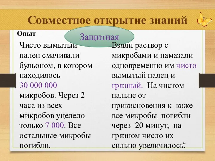 Совместное открытие знаний Опыт Чисто вымытый палец смачивали бульоном, в котором находилось