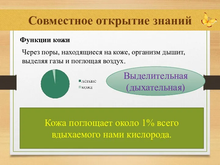 Совместное открытие знаний Функции кожи Выделительная(дыхательная) Через поры, находящиеся на коже, организм