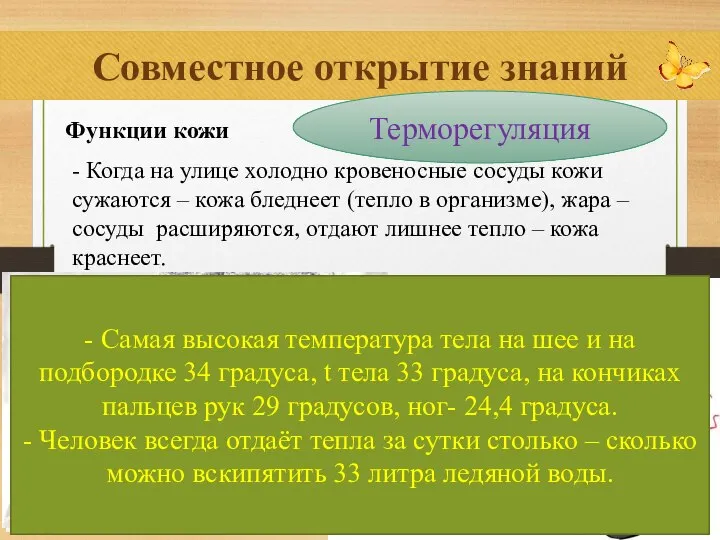 Совместное открытие знаний Функции кожи - Когда на улице холодно кровеносные сосуды