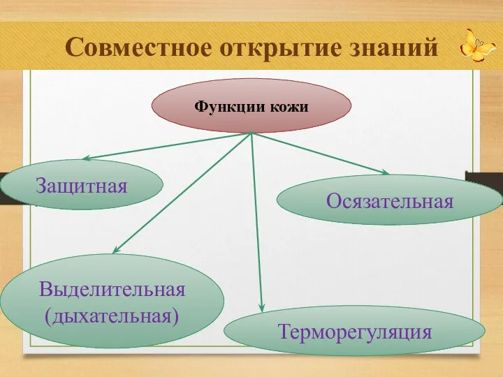 Совместное открытие знаний Осязательная Функции кожи Защитная Выделительная (дыхательная) Терморегуляция