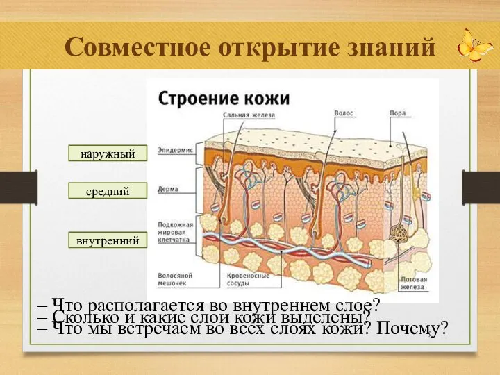 Совместное открытие знаний – Что располагается во внутреннем слое? – Что мы