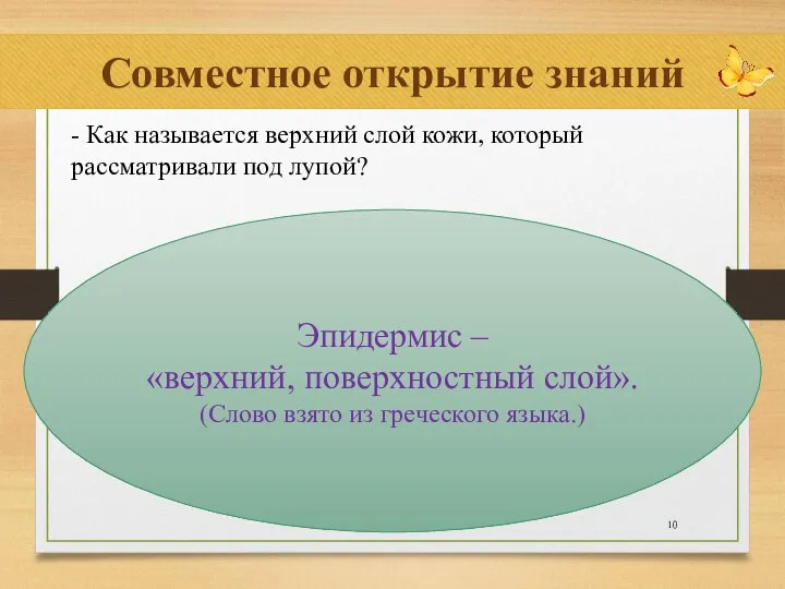 Совместное открытие знаний - Как называется верхний слой кожи, который рассматривали под