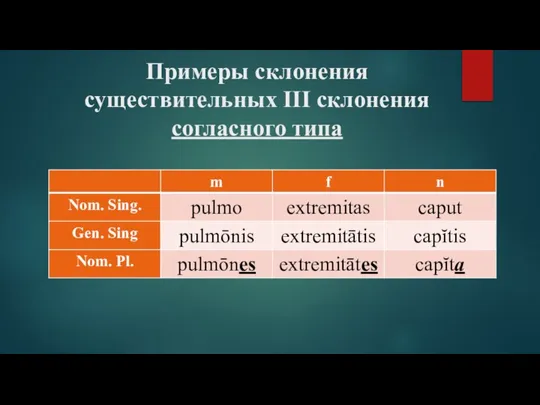 Примеры склонения существительных III склонения согласного типа