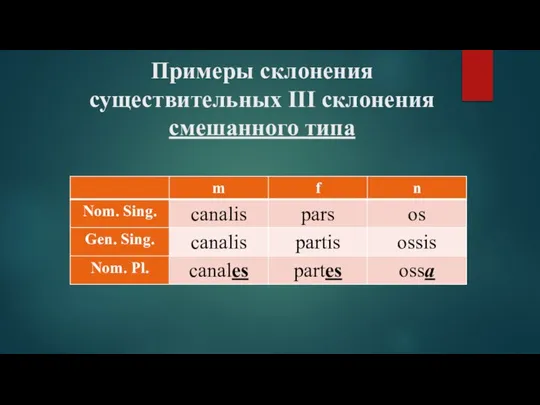 Примеры склонения существительных III склонения смешанного типа