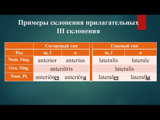 Примеры склонения прилагательных III склонения