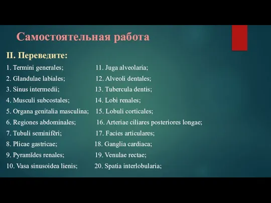 Самостоятельная работа II. Переведите: 1. Termini generales; 11. Juga alveolaria; 2. Glandulae