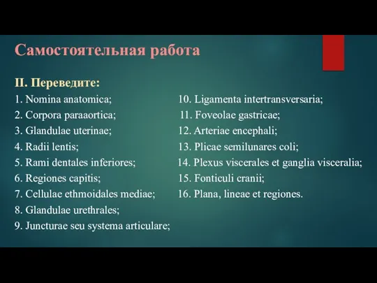 Самостоятельная работа II. Переведите: 1. Nomina anatomica; 10. Ligamenta intertransversaria; 2. Corpora