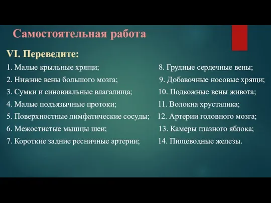 Самостоятельная работа VI. Переведите: 1. Малые крыльные хрящи; 8. Грудные сердечные вены;