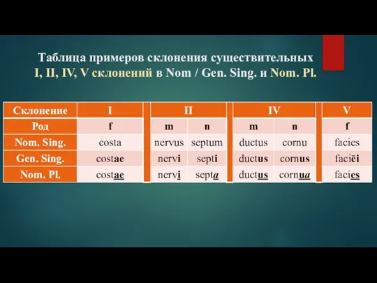 Таблица примеров склонения существительных I, II, IV, V склонений в Nom /