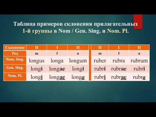 Таблица примеров склонения прилагательных 1-й группы в Nom / Gen. Sing. и Nom. Pl.