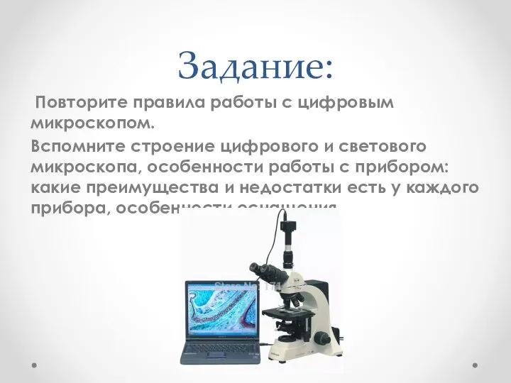 Задание: Повторите правила работы с цифровым микроскопом. Вспомните строение цифрового и светового