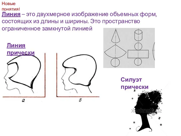 Новые понятия! Линия – это двухмерное изображение объемных форм, состоящих из длины