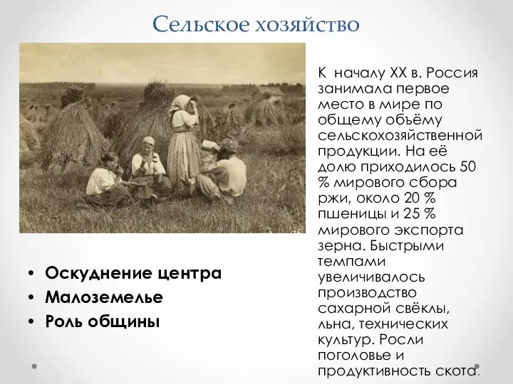 Сельское хозяйство К началу XX в. Россия занимала первое место в мире
