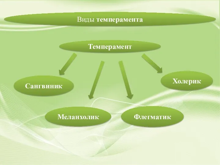 Виды темперамента Флегматик Сангвиник Меланхолик Холерик Темперамент