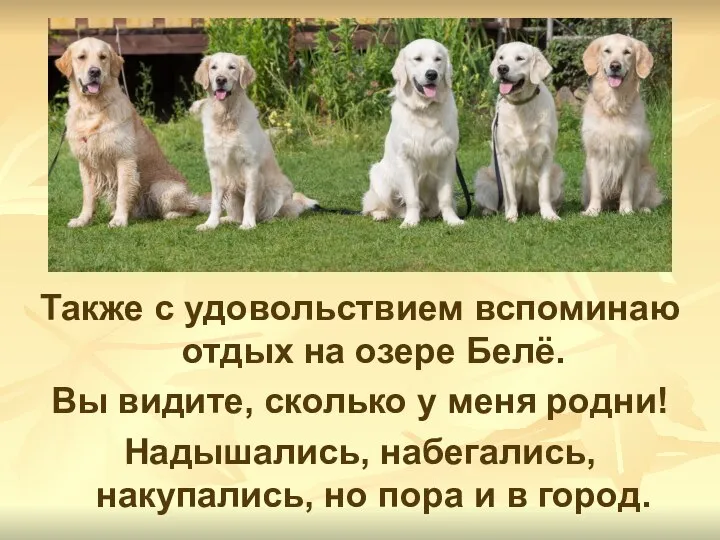 Также с удовольствием вспоминаю отдых на озере Белё. Вы видите, сколько у