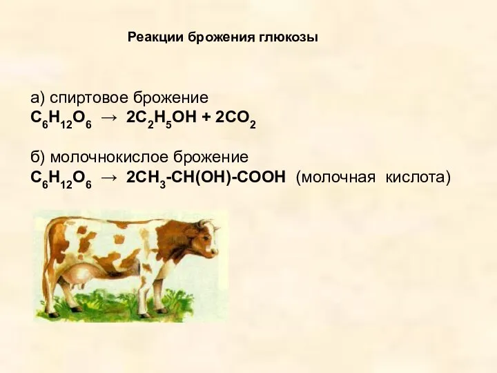 Реакции брожения глюкозы а) спиртовое брожение C6H12O6 → 2C2H5OH + 2CO2 б)
