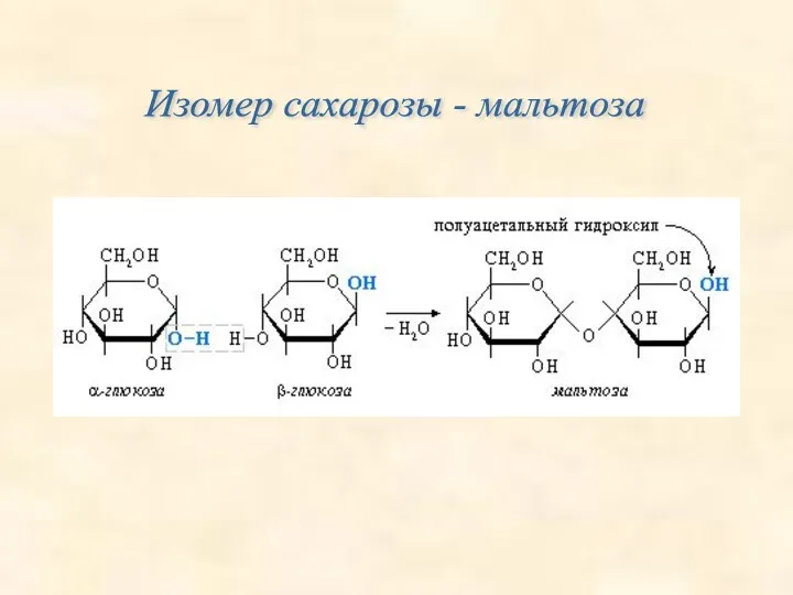 Изомер сахарозы - мальтоза