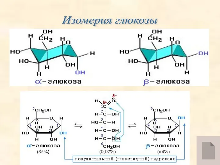 Изомерия глюкозы