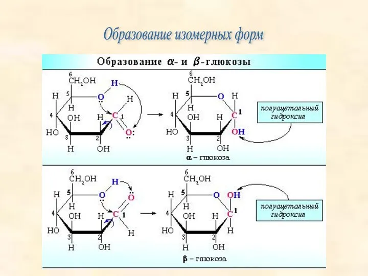 Образование изомерных форм