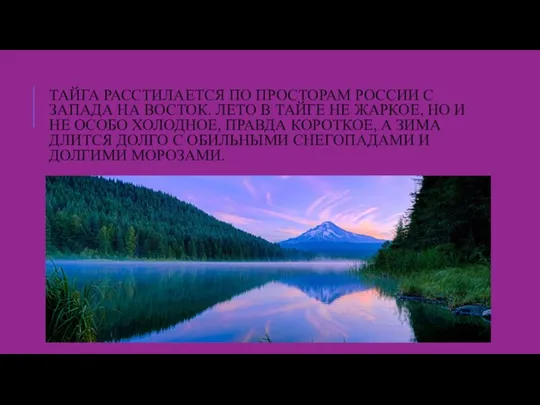 ТАЙГА РАССТИЛАЕТСЯ ПО ПРОСТОРАМ РОССИИ С ЗАПАДА НА ВОСТОК. ЛЕТО В ТАЙГЕ