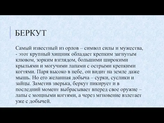 БЕРКУТ Самый известный из орлов – символ силы и мужества, - этот