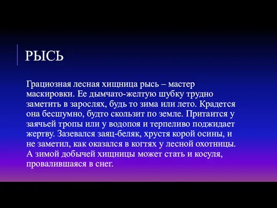 РЫСЬ Грациозная лесная хищница рысь – мастер маскировки. Ее дымчато-желтую шубку трудно