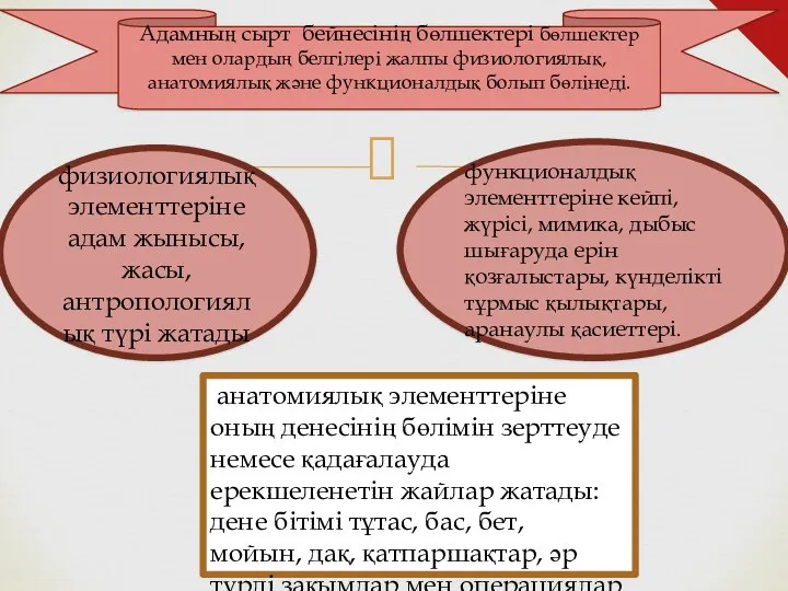 анатомиялық элементтеріне оның денесінің бөлімін зерттеуде немесе қадағалауда ерекшеленетін жайлар жатады: дене