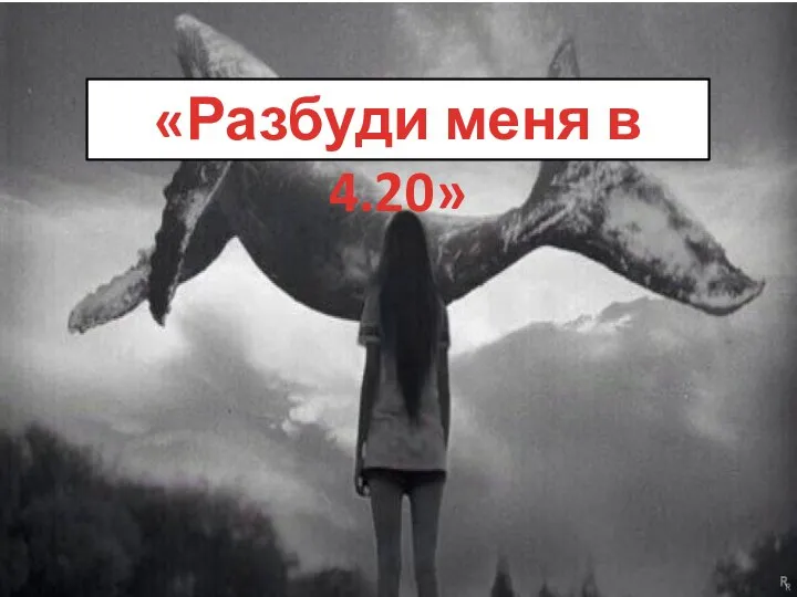 «Разбуди меня в 4.20»