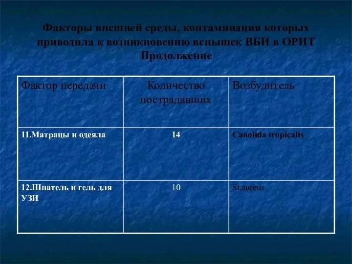 Факторы внешней среды, контаминация которых приводила к возникновению вспышек ВБИ в ОРИТ Продолжение