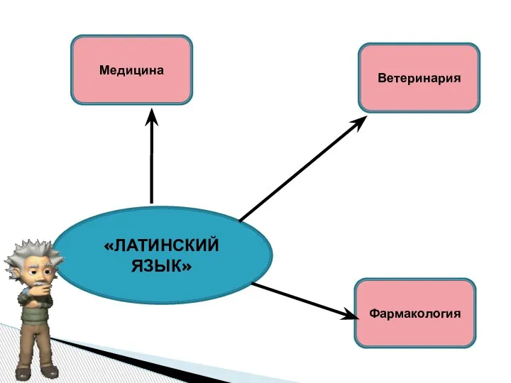 «ЛАТИНСКИЙ ЯЗЫК» Медицина Ветеринария Фармакология