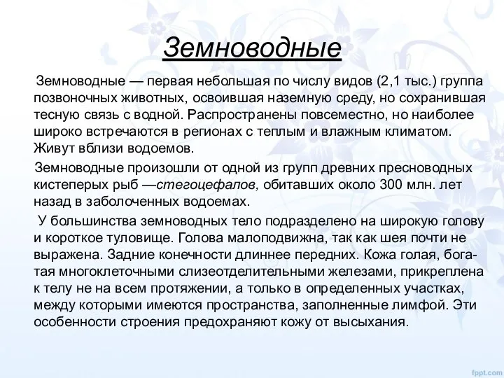 Земноводные Земноводные — первая небольшая по числу видов (2,1 тыс.) группа позвоночных