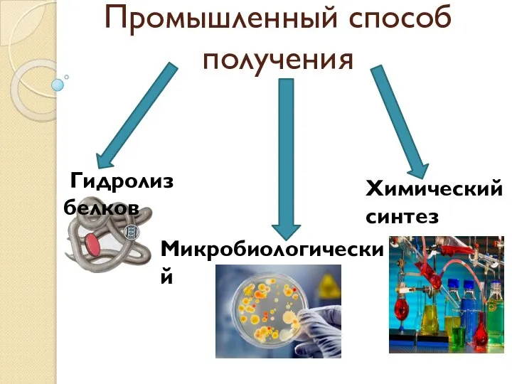 Промышленный способ получения Гидролиз белков Химический синтез Микробиологический