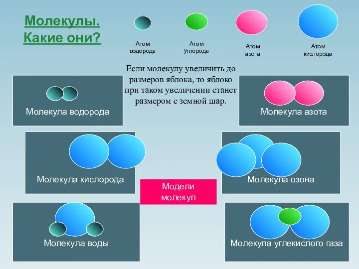 Молекулы. Какие они? Атом водорода Атом азота Атом кислорода Молекула кислорода Молекула