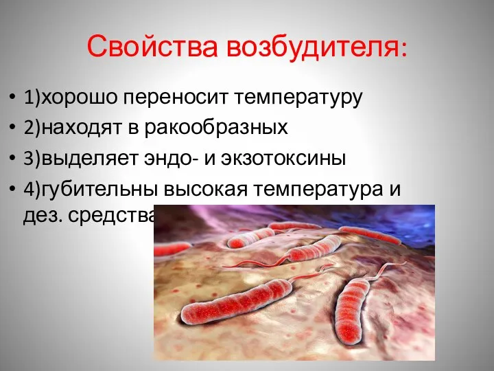 Свойства возбудителя: 1)хорошо переносит температуру 2)находят в ракообразных 3)выделяет эндо- и экзотоксины