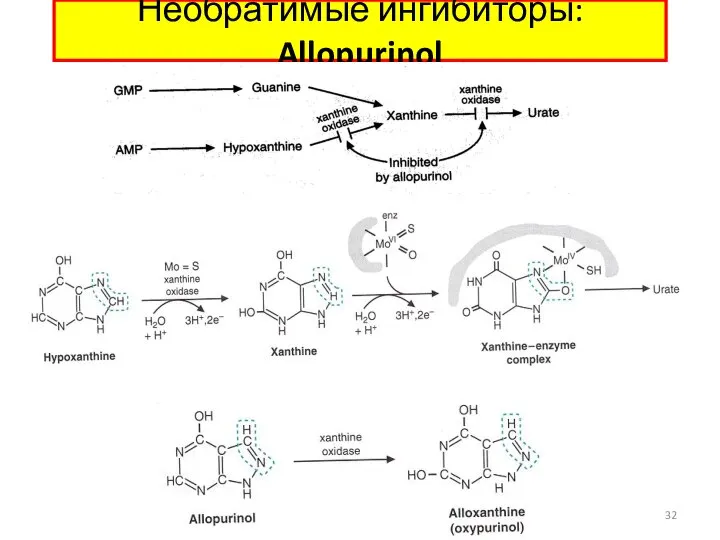 Необратимые ингибиторы: Allopurinol