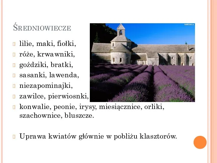 Średniowiecze lilie, maki, fiołki, róże, krwawniki, goździki, bratki, sasanki, lawenda, niezapominajki, zawilce,