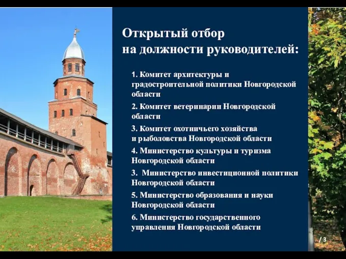 Открытый отбор на должности руководителей: 1. Комитет архитектуры и градостроительной политики Новгородской