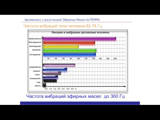 Аромакласс с дегустацией Эфирных Масел doTERRA Частота вибраций тела человека 62-78 Гц