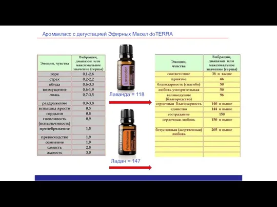 Аромакласс с дегустацией Эфирных Масел doTERRA Ладан = 147 Лаванда = 118